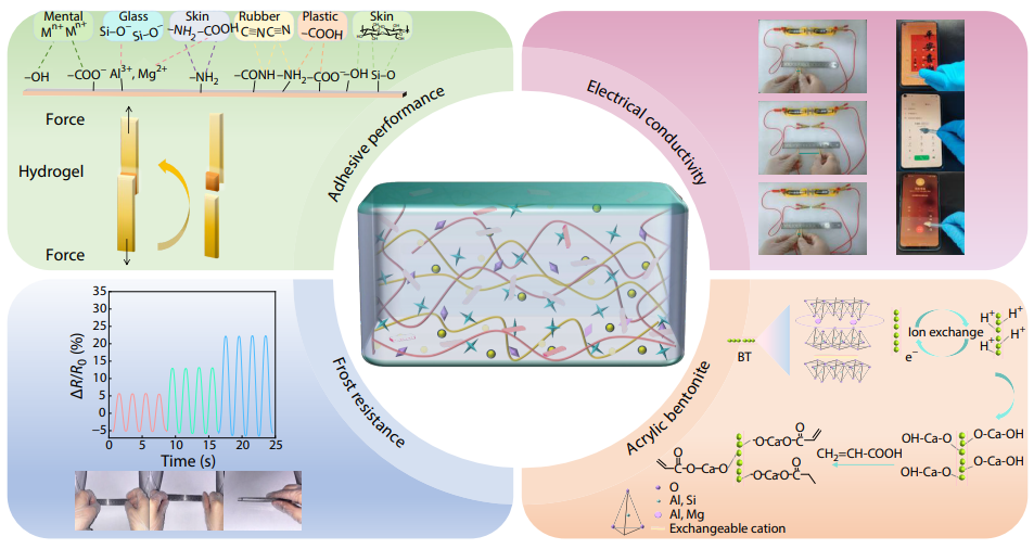 Organic-Inorganic Hydrogel Strain Sensors Based on Methacryloyl Ethoxy Trimethyl Ammonium Chloride and Bentonite