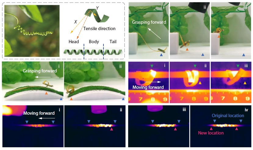 Bioinspired Actuation of Liquid Crystal Elastomers with Hierarchical Structures Based on Light Response