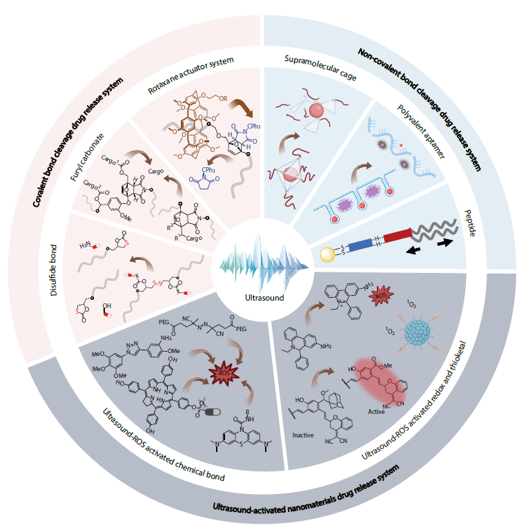 A Brief Review on Ultrasound Induced Drug Activation Systems