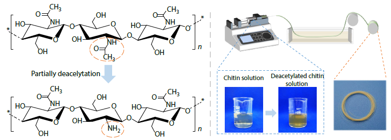 Enhanced Regenerated Chitin Fiber by a Deacetylation-mediated Strategy Based on Alkali/Urea Green Dissolution System