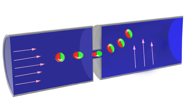 Perforation Dynamics and Directional Motion of Janus Vesicles under the Coupled Effects of Flow and Electric Fields