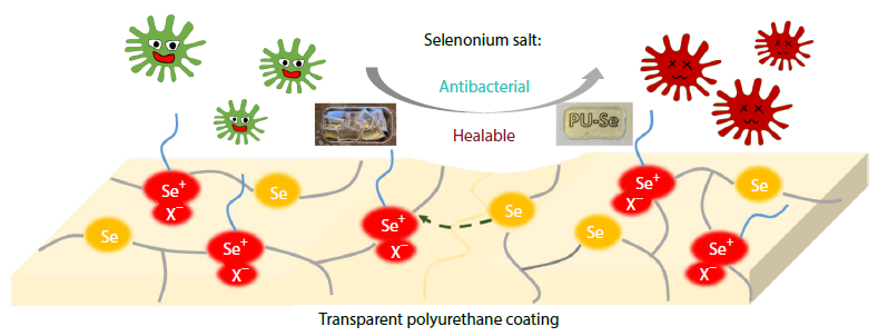Transparent Polyurethane Coating with Selenonium Salt-enhanced Healing and Antibacterial Properties