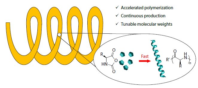 Efficient Preparation of Polypeptides through Accelerated Polymerization of <italic style="font-style: italic">N</italic>-Carboxyanhydrides in Continuous Flow