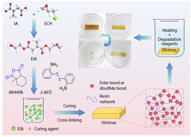 Preparation and Properties Study of Itaconic Acid-based Degradable Epoxy Resin Based on Dynamic Covalent Bonds