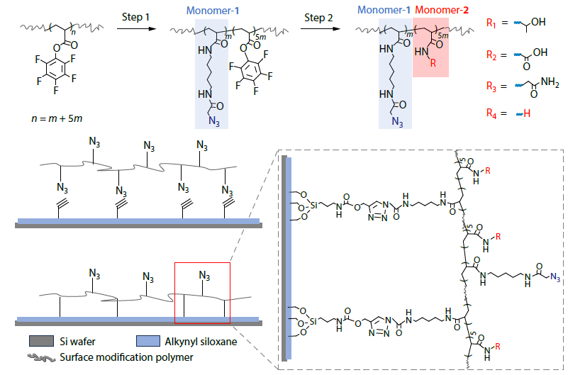 Amine-reactive Polymer Platform for Engineering Surface Modification of Next-generation Sequencing Chips