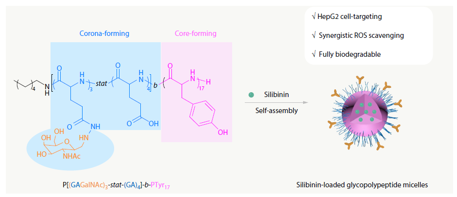 Antioxidant Glycopolypeptide Micelles for Targeted Delivery of Silibinin to Hepatocellular Carcinoma Cells