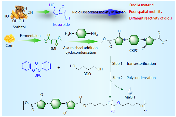 An Excellent Biobased Copolymerization Monomer Module: Synthesis of Biobased Copolymers with Excellent Heat Resistance and Hydrophilic Properties