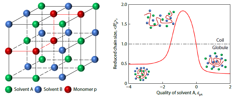 Effects of Solvent Qualities on the Conformation of a Homopolymer Chain in Binary Mixed Solvents