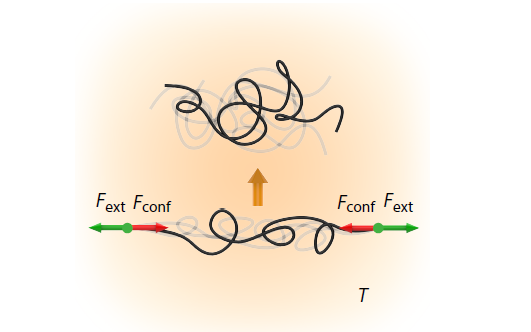 Physical Origin of Conformational Entropy in Polymers