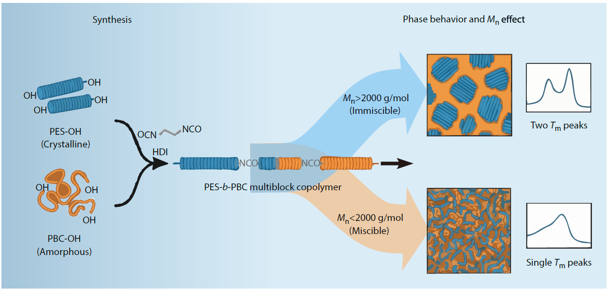 Synthesis and Properties of Poly(ethylene succinate)-<italic style="font-style: italic">b</italic>-poly(butylene carbonate) Multiblock Copolymers
