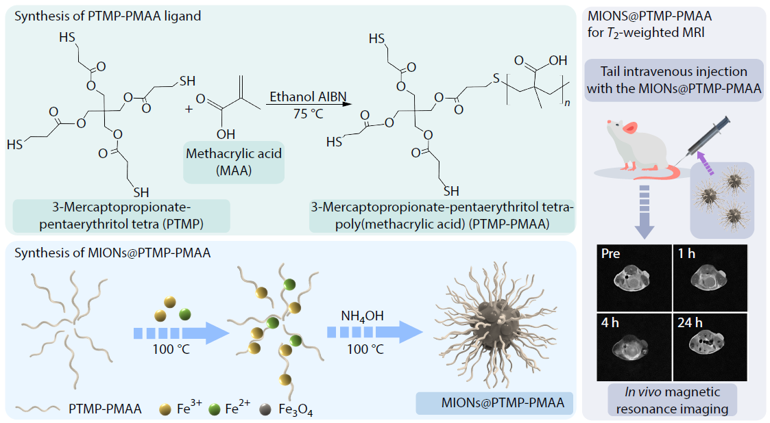 Superparamagnetic Iron Oxide Nanoparticles Prepared with Multidentate Thioether Polymer Ligand for Magnetic Resonance Imaging