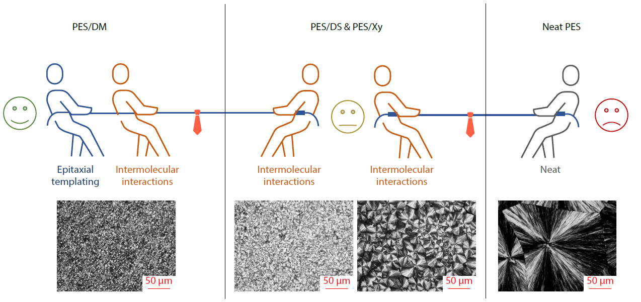 Commercial Sugar Alcohol Boosts Nucleation and Crystallization Ability of Poly(ethylene succinate) <italic style="font-style: italic">via</italic> Combination of Intermolecular Interactions and Epitaxial Templating