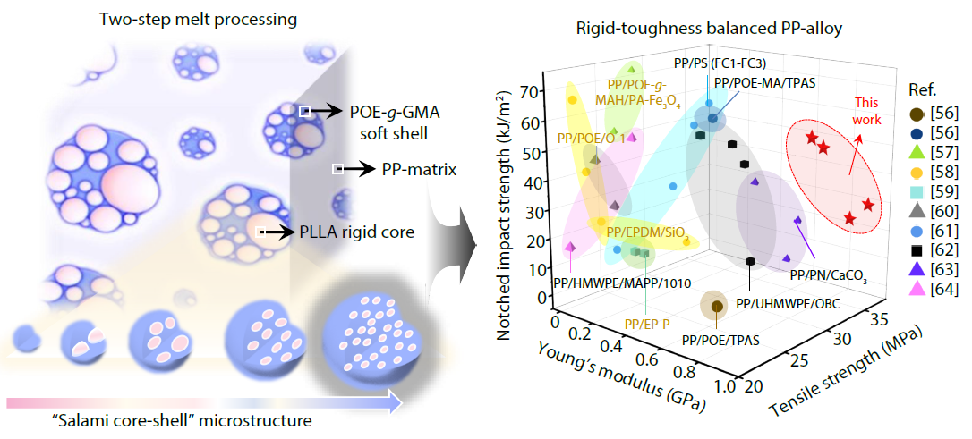 Overcoming the Trade-off between Toughness and Stiffness of Fully Polymer-based Alloys by Elastomeric Salami Particles through Reactive Blending