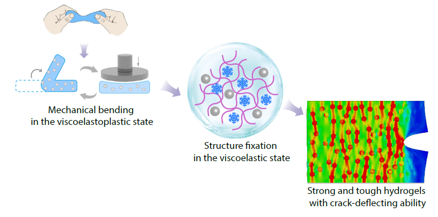 Strong and Tough Composite Hydrogels with Crack-deflecting Ability Enabled by a Viscoelastoplastic Mixing Strategy
