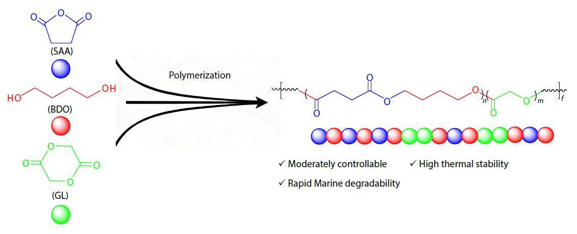 Achieving Simultaneous High Thermal Stability and Rapid Seawater Degradation in Poly(butylene succinate-<italic style="font-style: italic">co</italic>-glycolide) Copolyesters