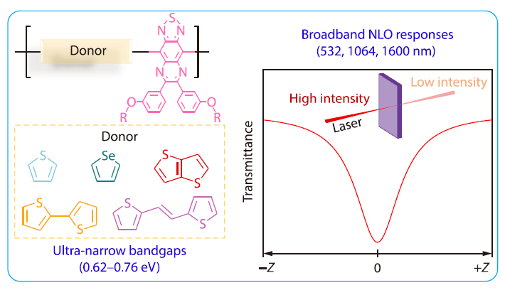 Thiadiazoloquinoxaline-based Donor-Acceptor Type Copolymers towards Ultrabroadband Optical Limiting
