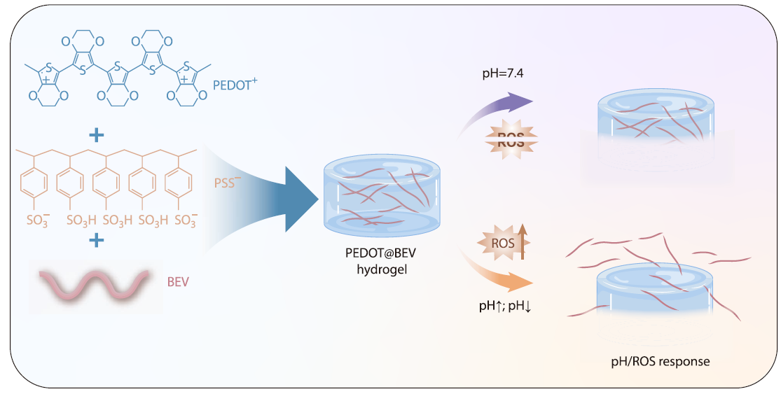 Facile Synthesis of an Injectable Redox/pH Dual Stimuli-responsive Hydrogel System for Drug Release