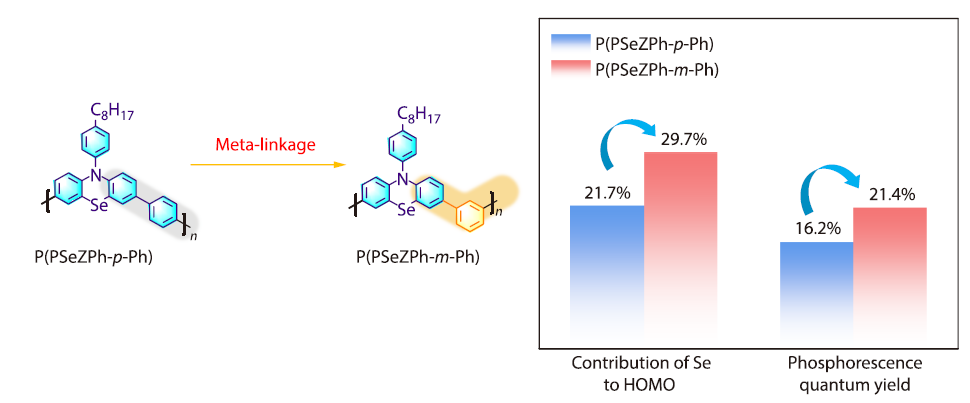 Meta-linked Phenoselenazine-based Conjugated Polymers for Efficient Room-temperature Phosphorescence