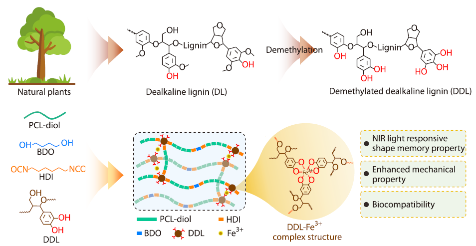 Lignin-derived High-performance Near-infrared Light-responsive Shape Memory Polyurethanes for Biomedical Applications