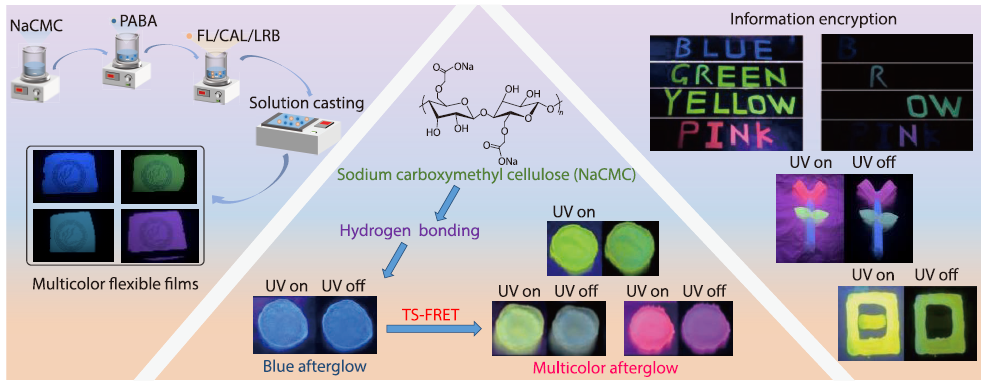 Multicolor-tunable and Flexible Sodium Carboxymethyl Cellulose-based Ultralong Room-temperature Phosphorescence Materials for Advanced Information Encryption