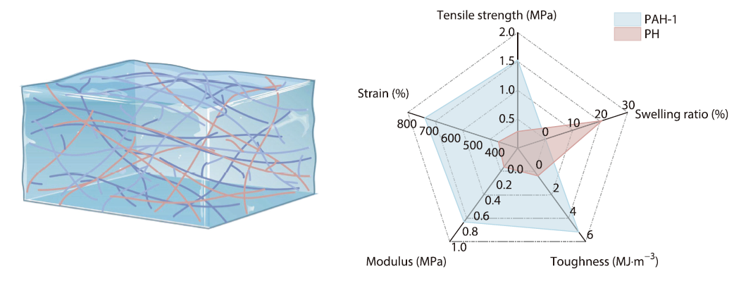 Anti-swelling and Mechanically Robust Composite Hydrogels in Aquatic Environments