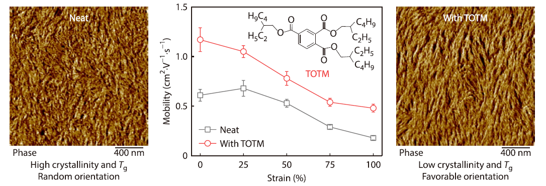 Plasticizer Enhanced Chain Orientation and Dynamics for Printed Stretchable Conjugated Polymer Films