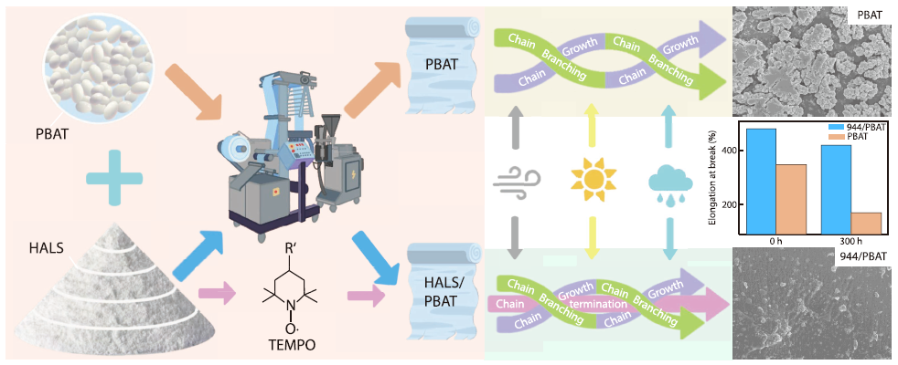 Photostabilization of Poly(butylene adipate-<italic style="font-style: italic">co</italic>-terephthalate) (PBAT) Films with Hindered Amine Light Stabilizers: Performance Evaluation and Mechanistic Insights