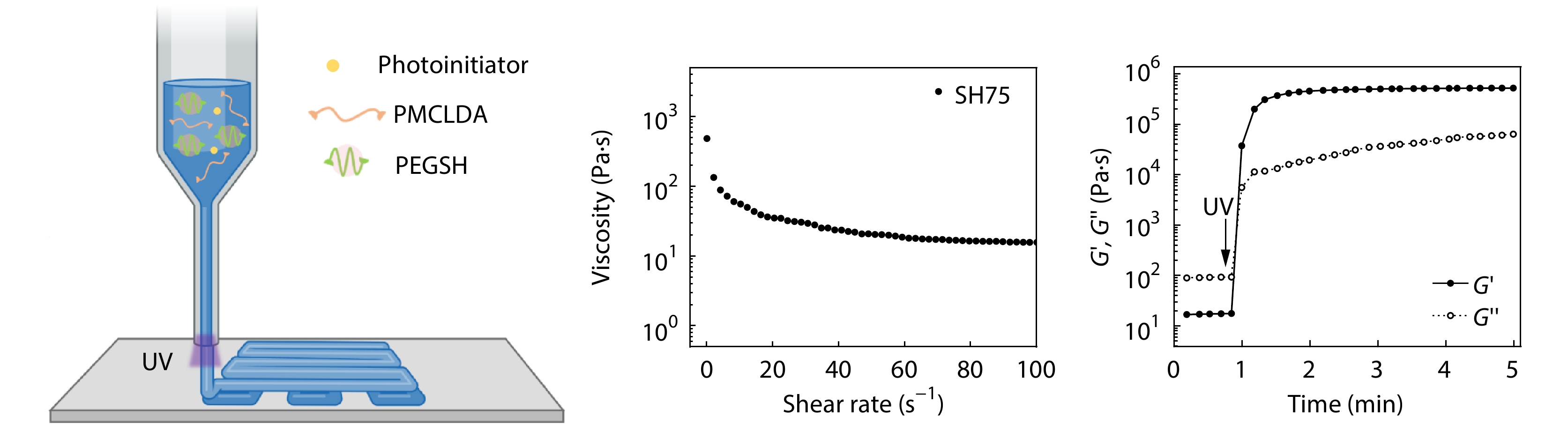Direct Ink Writing of Biodegradable Elastic Scaffolds <italic style="font-style: italic">via</italic> Rapid Thiol-Acrylate Photocrosslinking