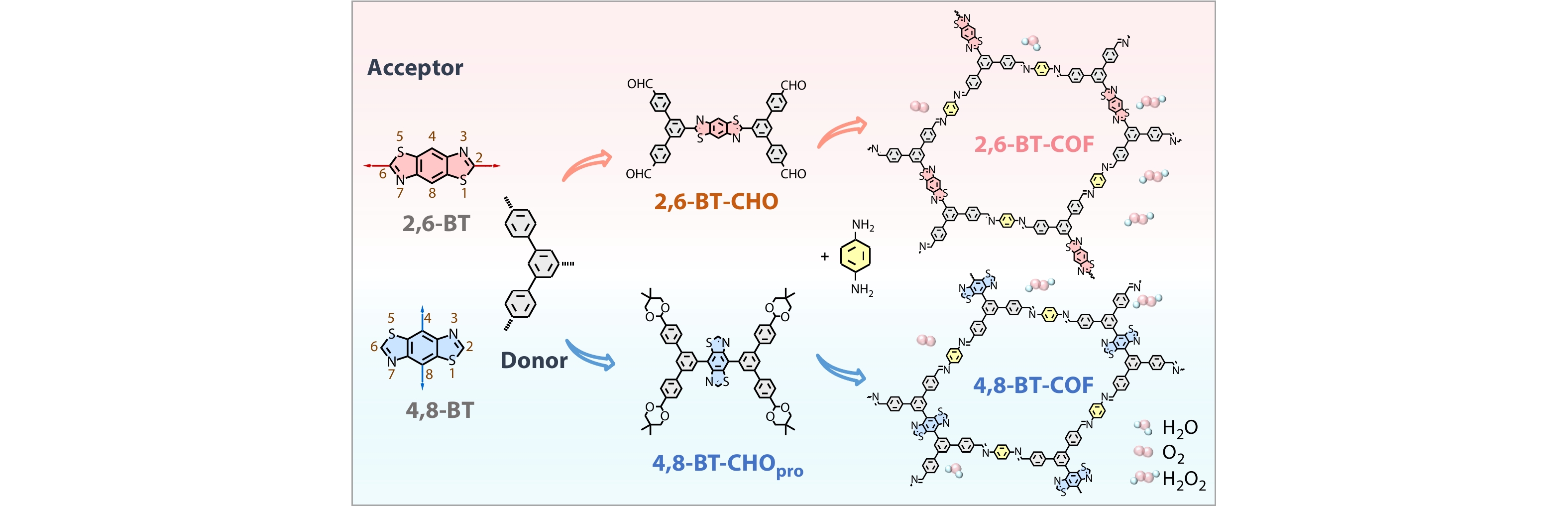Benzobisthiazole-based Regioisomeric Donor-Acceptor Covalent Organic Frameworks for Photocatalytic Hydrogen Peroxide Production