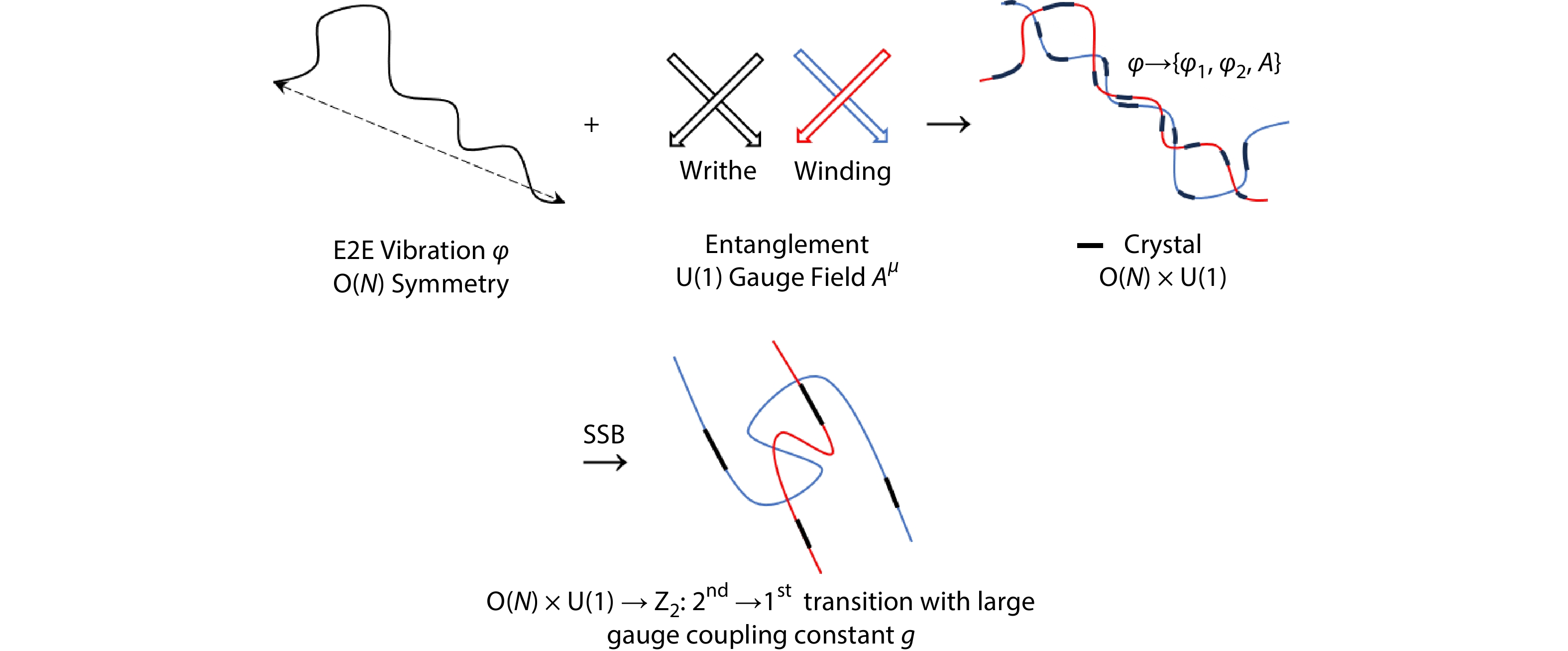 Spontaneous Gauged O(<italic style="font-style: italic">N</italic>) Symmetry Breaking in Polymer Crystallization