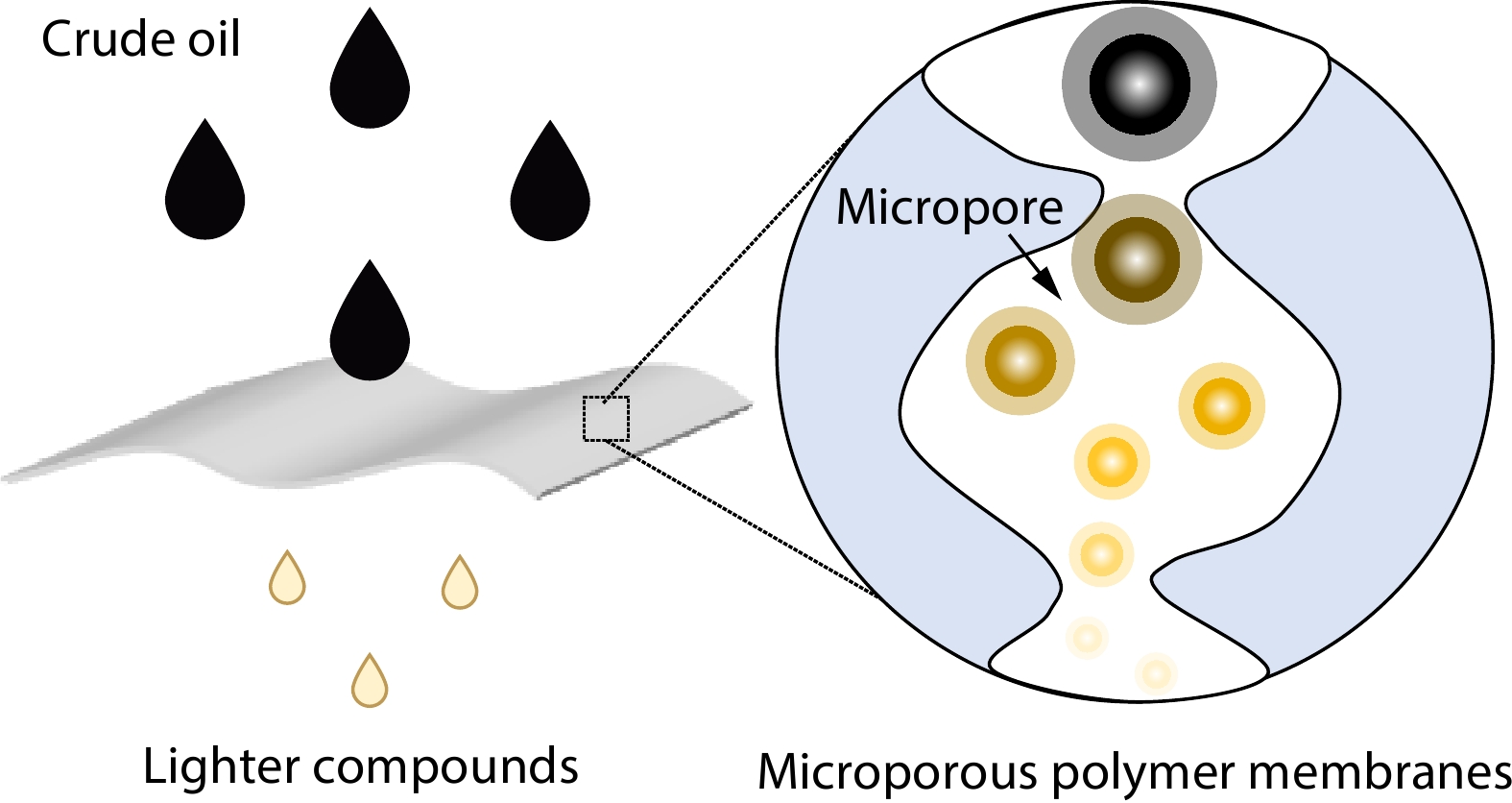 Microporous Polymer Membranes for the Separation of Hydrocarbon Mixtures