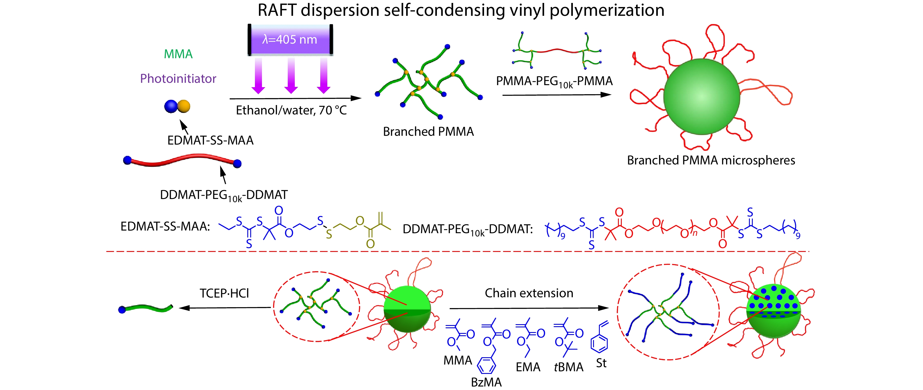 Uniform Branched Polymer Microspheres <italic style="font-style: italic">via</italic> Reversible Addition-fragmentation Chain Transfer Dispersion Self-condensing Vinyl Polymerization