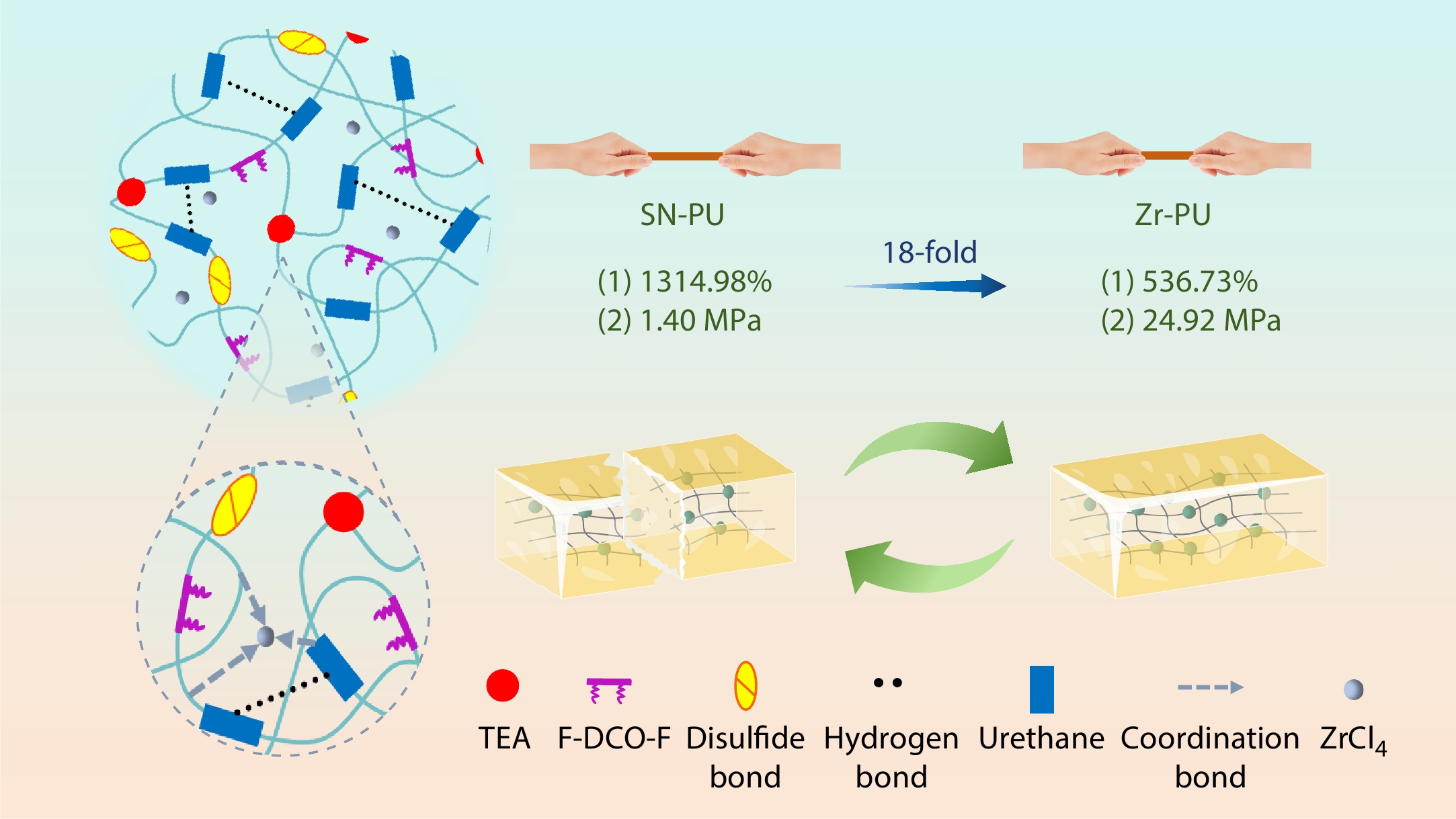Molecular Engineering of Fluorine-containing Polyurethane Adhesives: Toughness and Self-healing Enhancement <italic style="font-style: italic">via</italic> Synergistic Disulfide-Zr<sup>4</sup><sup>+</sup> Coordination Bonds