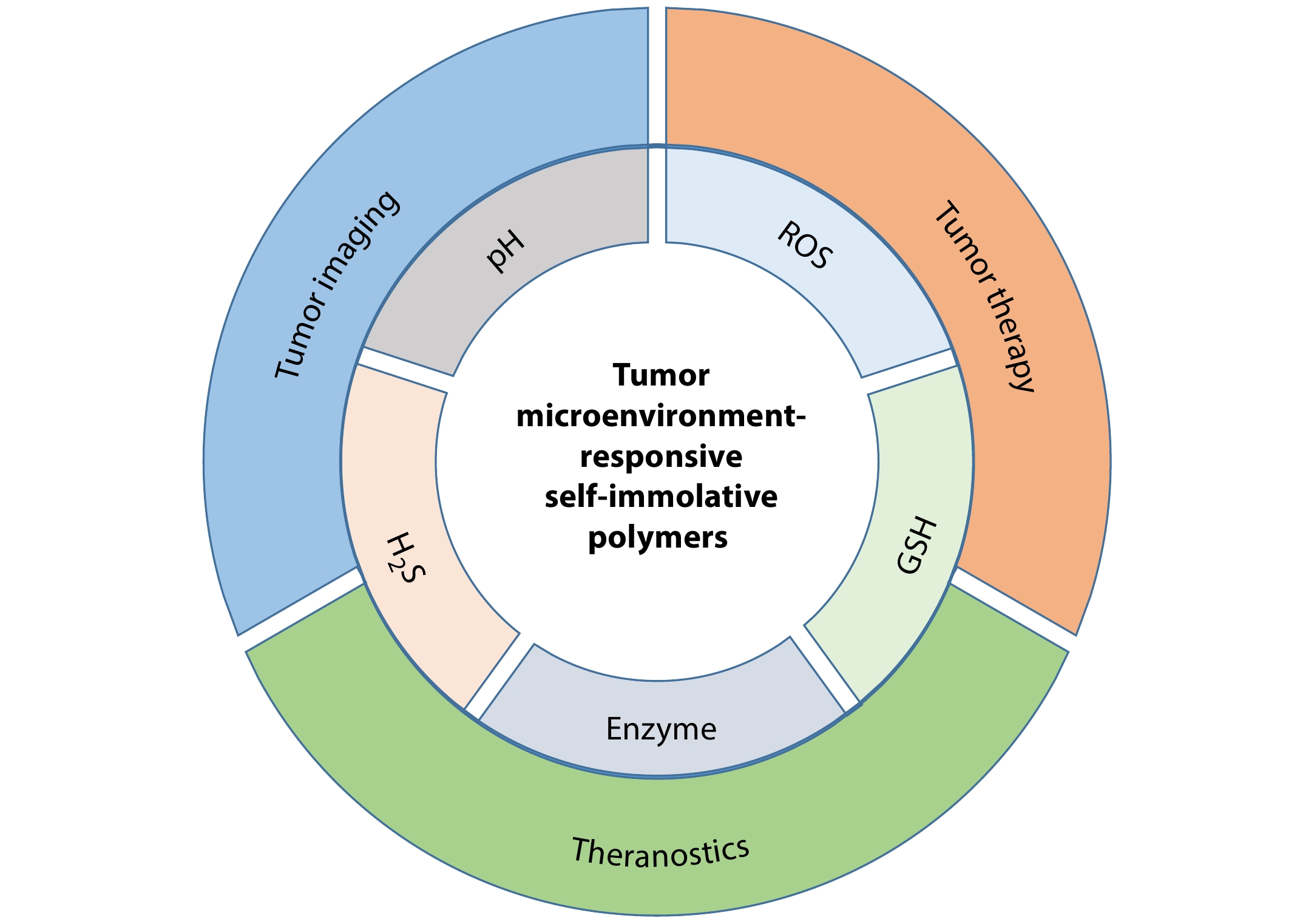 Tumor Microenvironment-responsive Self-immolative Polymers for Cancer Imaging and Therapy