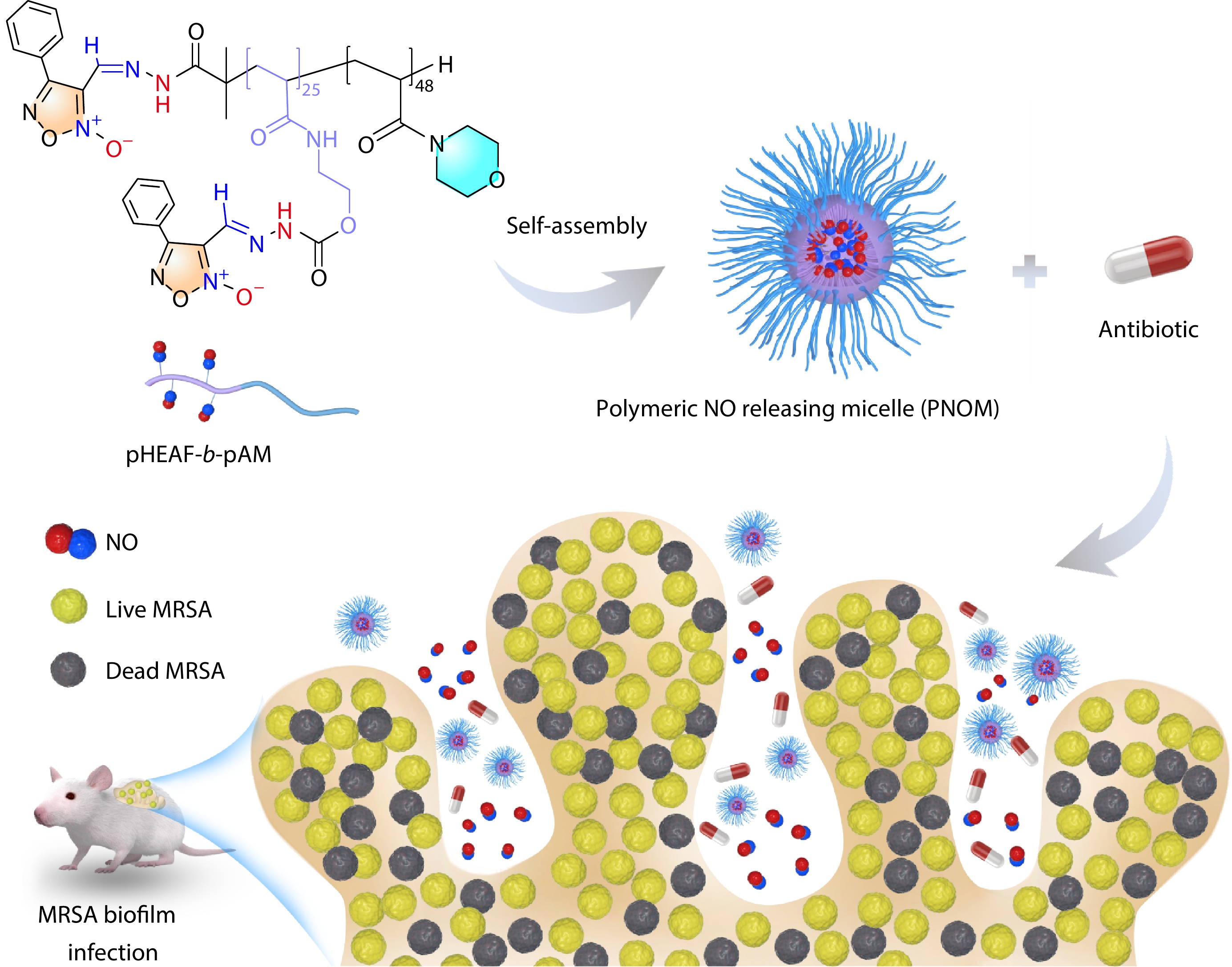 Microenvironment Responsive Polymeric Nitric Oxide Releasing Micelles for Enhancing Eradication of Methicillin-resistant <italic style="font-style: italic">Staphylococcus aureus</italic> Biofilm
