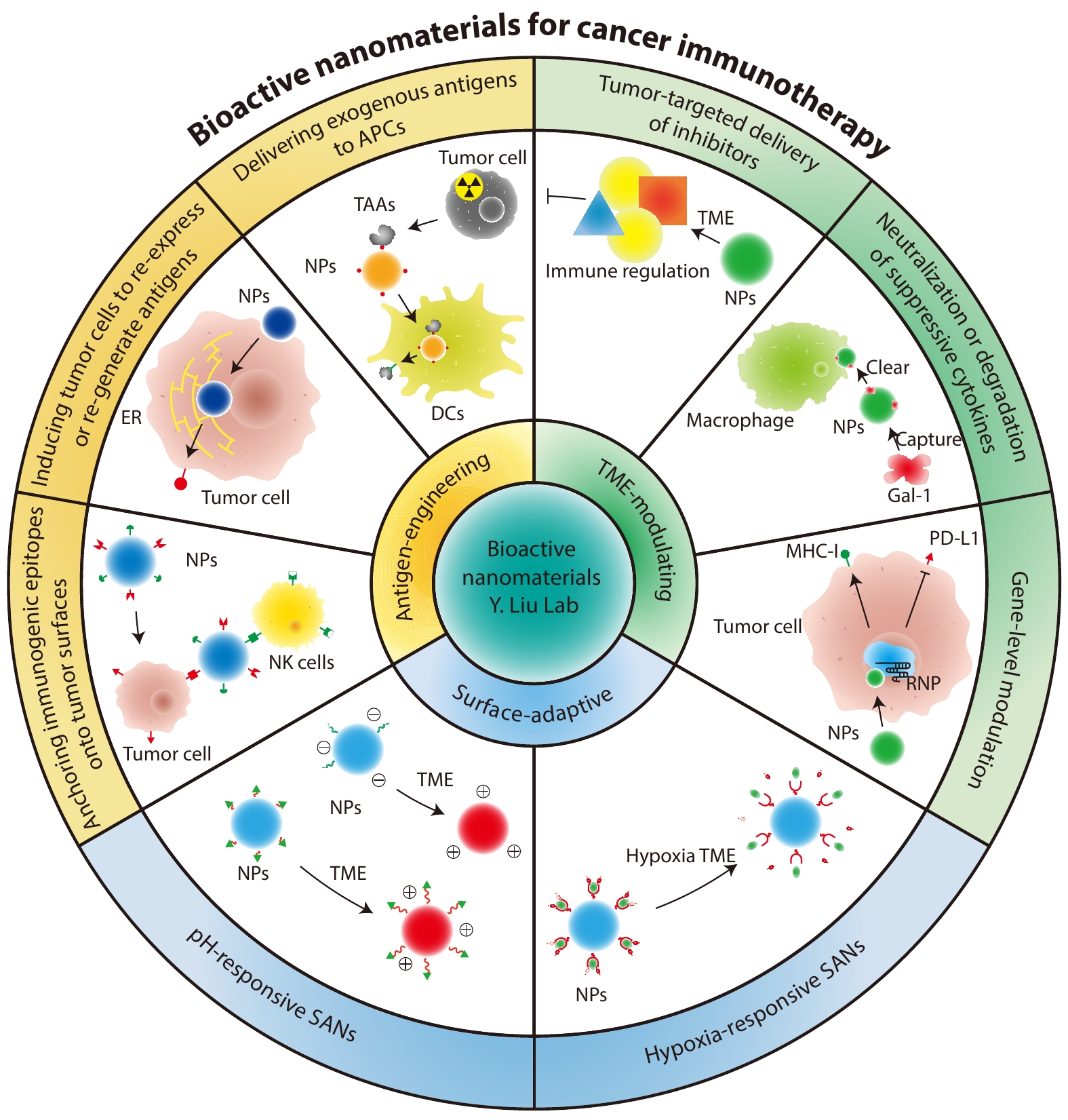 Bioactive Nanomaterials for Cancer Immunotherapy