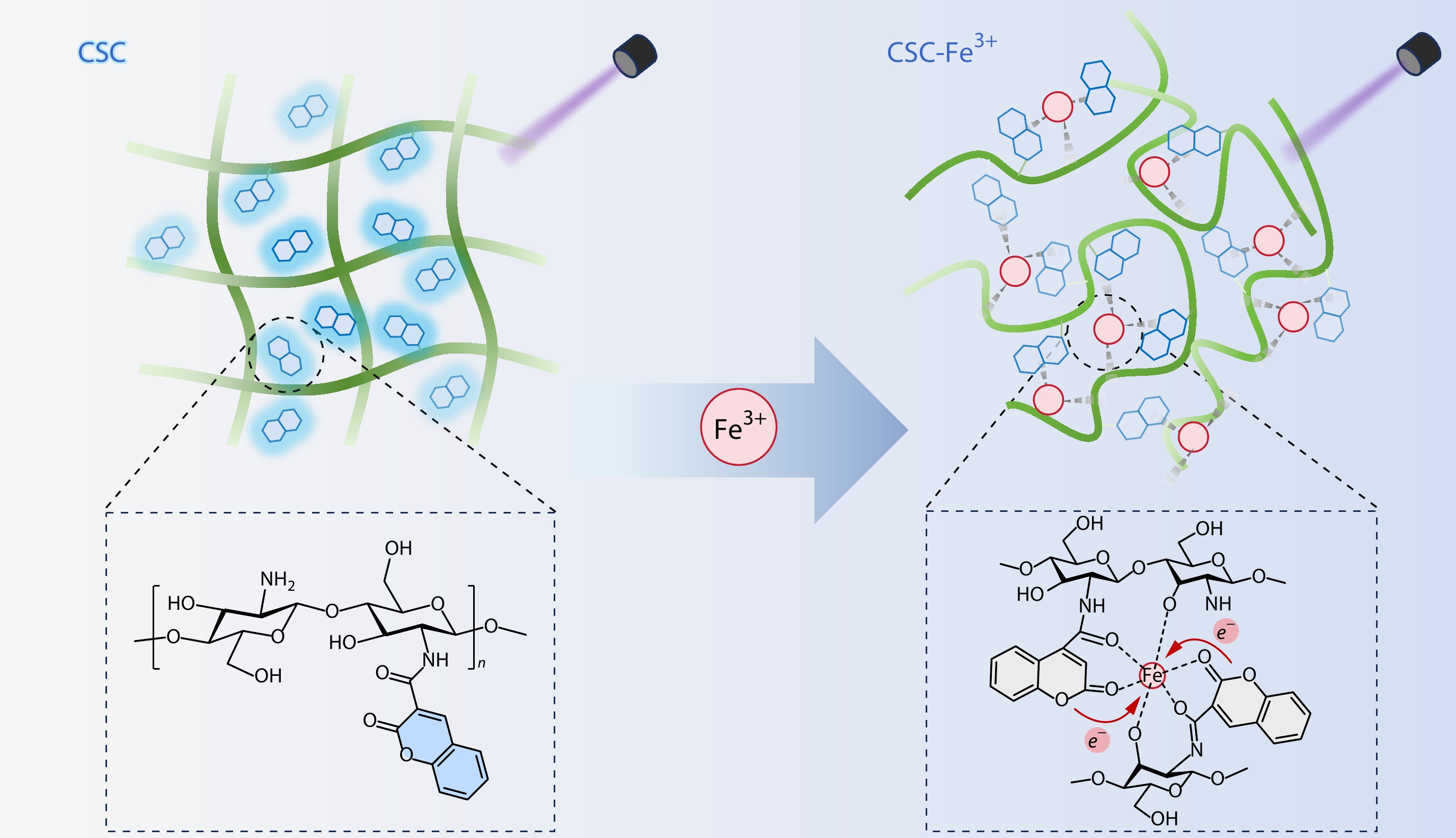 A Self-antibacterial Chitosan-based Polymeric Fluorescent Probe with a Dual-lock Strategy for Ultrafast Detection of Fe<sup>3+</sup> in Water System
