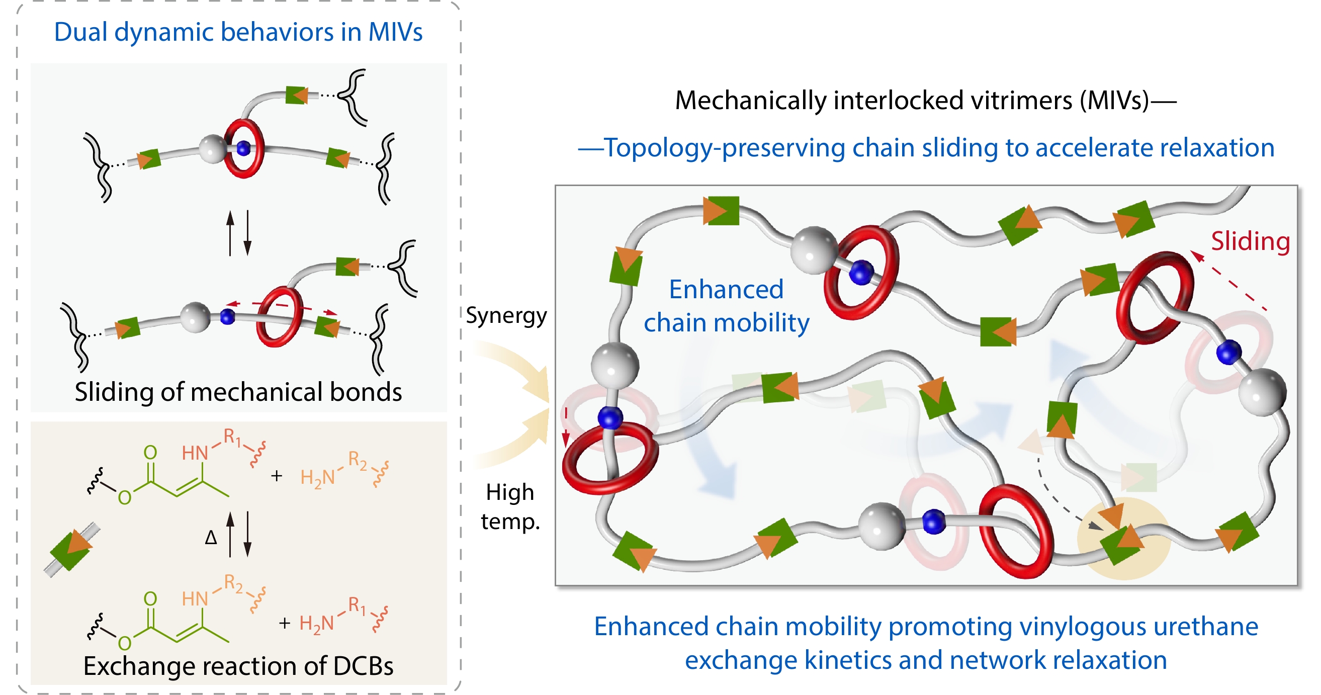 Mechanical Bonds Unlock Rapid Stress Relaxation in Covalent Adaptable Networks <italic style="font-style: italic">via</italic> Topology-preserving Chain Sliding