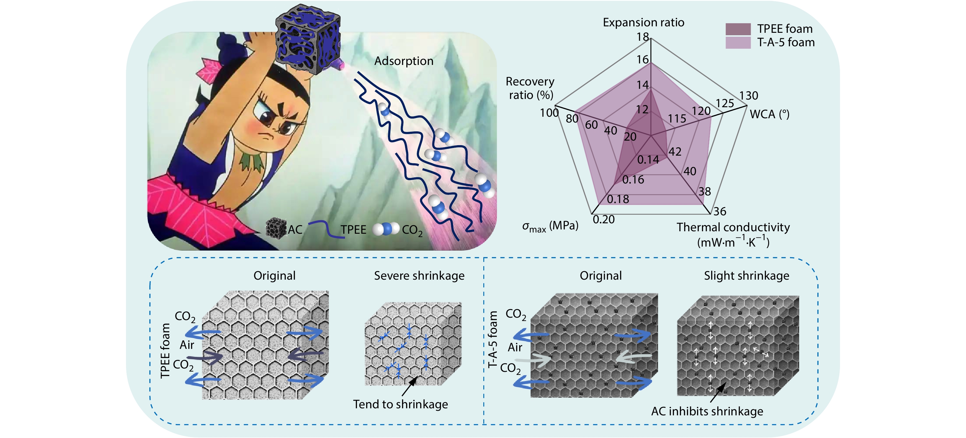 Activated Carbon-derived Polyester Elastomer Foams with Tailored Structure and Blackness for High-performance Thermally Insulating Applications