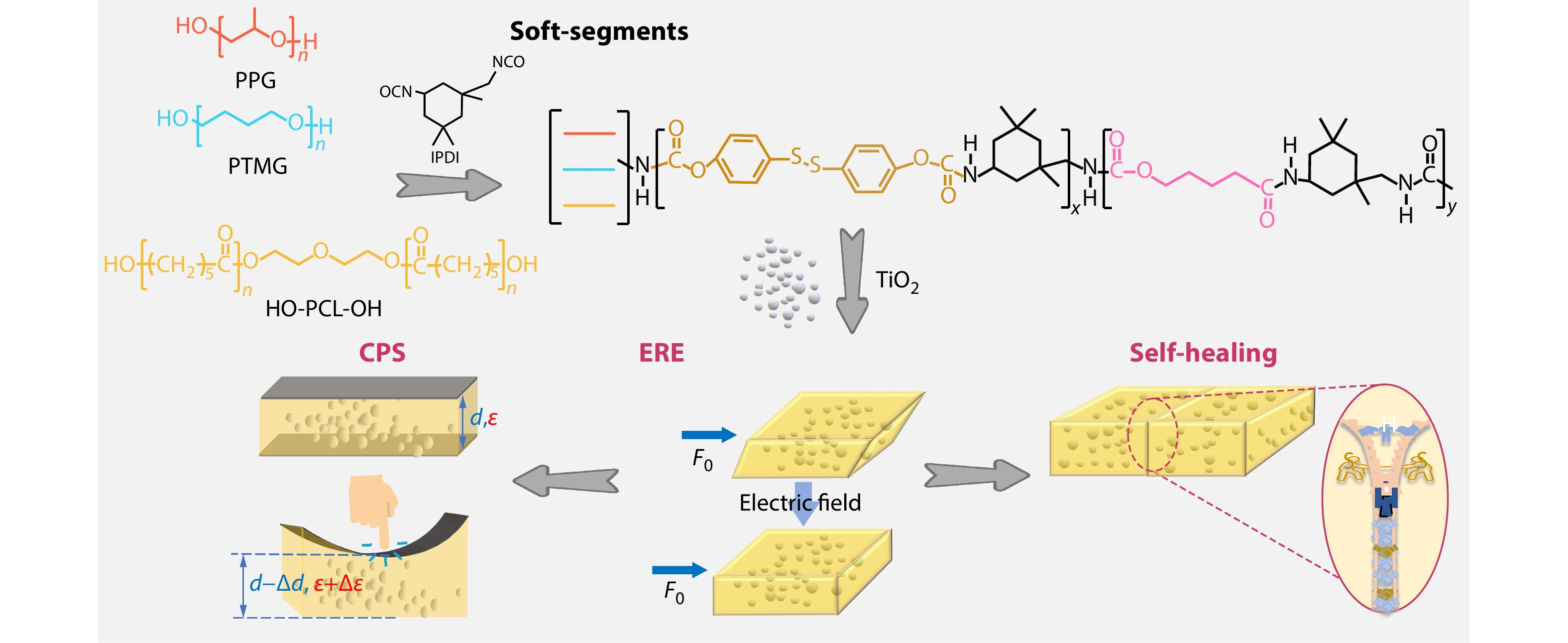 Soft-segment-engineered Self-healing Polyurethane for High-performance Electrorheological Elastomers and Capacitive Sensors