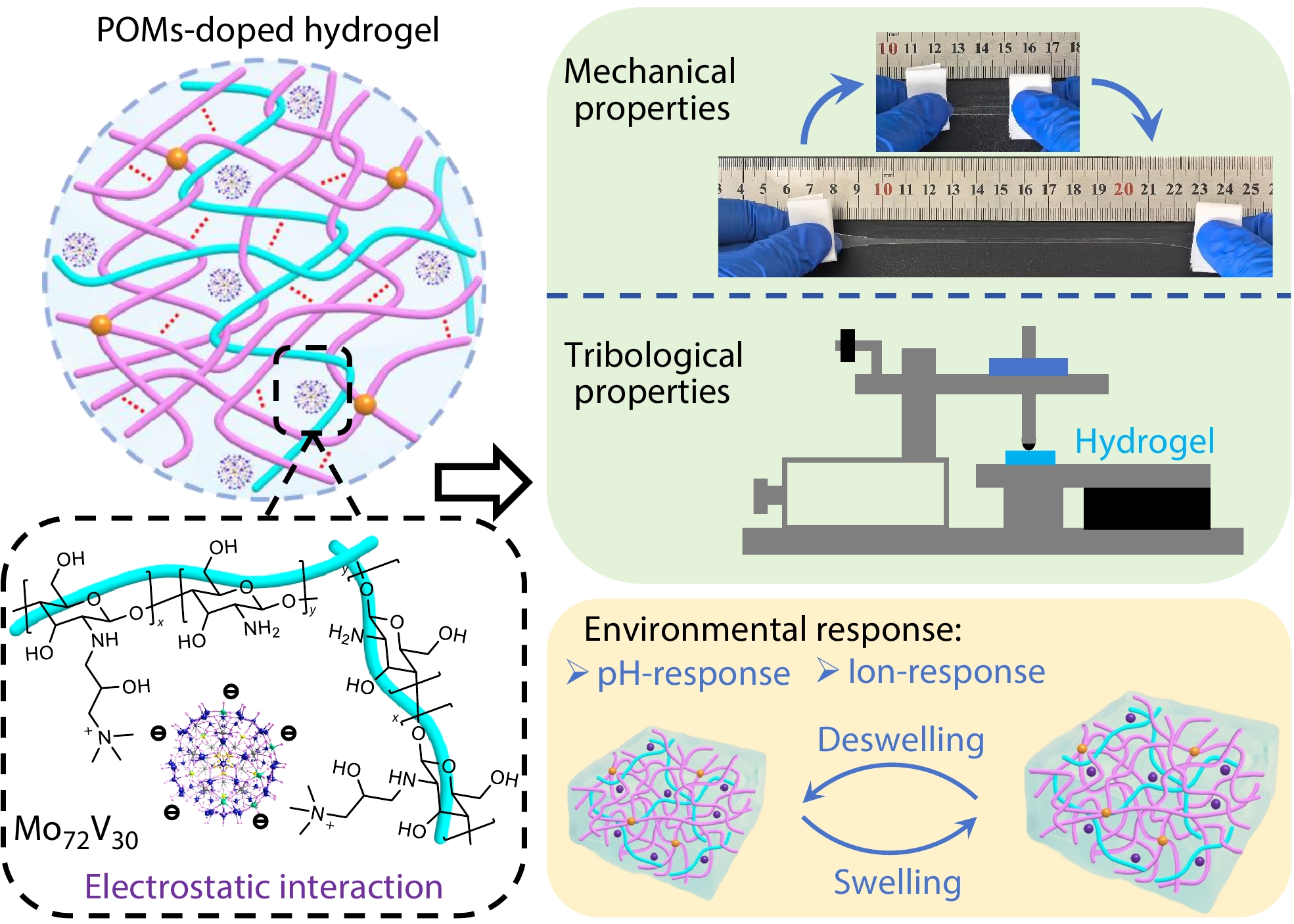 Polyoxometalate-doped Chitosan Quaternary Ammonium/Polyacrylamide Interpenetrating Hydrogels with Enhanced Mechanical and Tribological Properties