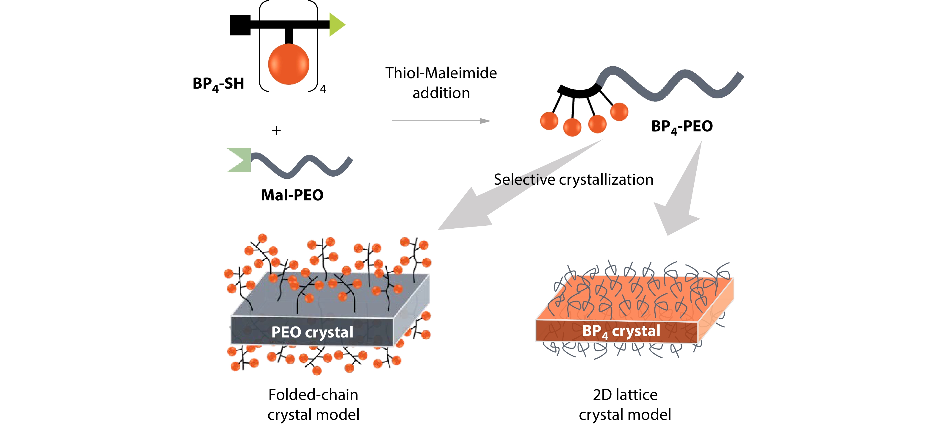 Core Structure Modulation of 2D Nanosheets by Selective Crystallization-driven Self-assembly of Polyhedral Oligomeric Silsesquioxane-containing Block Copolymers