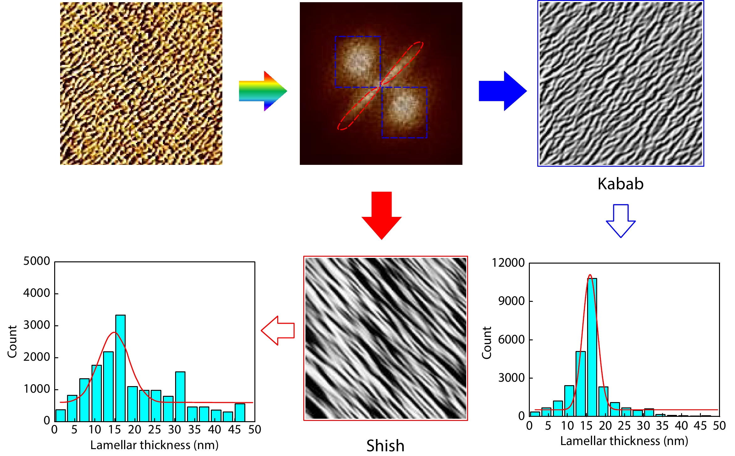 A Simple Method for Evaluating Periodic Structures Based on Atomic Force Microscopy Images